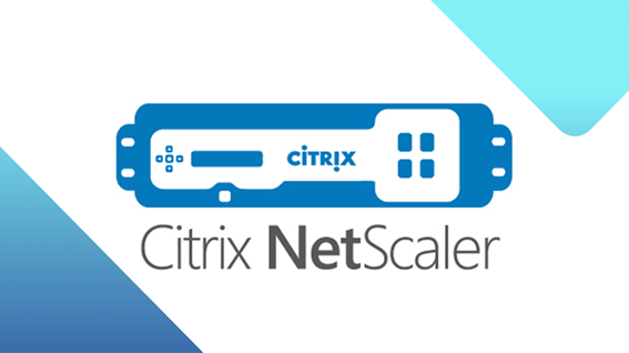 Miniatura do Citrix NetScaler